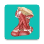 Logo of Easy anatomy. Medical atlas android Application 