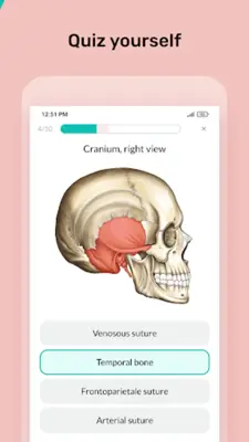 Easy anatomy. Medical atlas android App screenshot 3