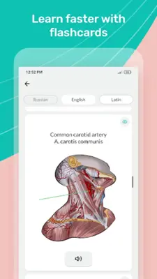 Easy anatomy. Medical atlas android App screenshot 4