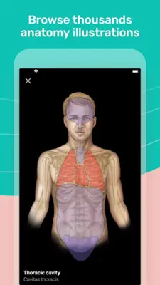 Easy anatomy. Medical atlas android App screenshot 5